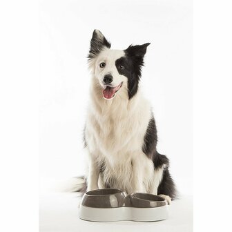 Bama Pet Voerderbak met Waterreservoir 44x27x12 cm Assorti