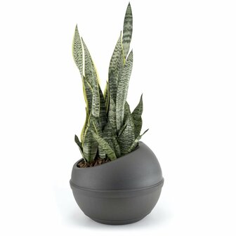 Bama Sfera Bloempot 23L 40.5x32 cm Antraciet
