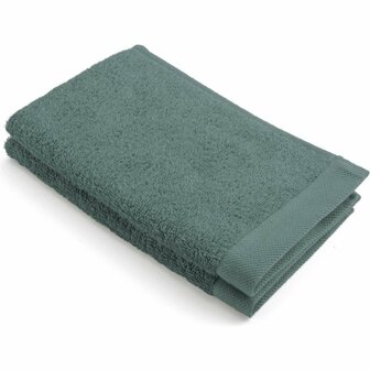 Walra Gastendoek 2 Stuks Donkergroen