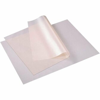 Herbruikbare Bakfolie 40x50 cm 2 Stuks