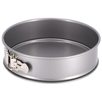 Springvorm 22 cm Zilver