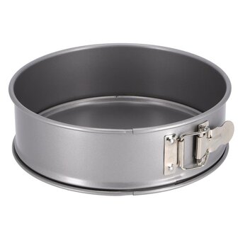 Springvorm 20 cm Zilver