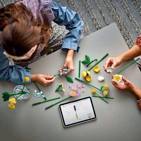 Lego 10347 Botanicals Klein Zomers Boeket
