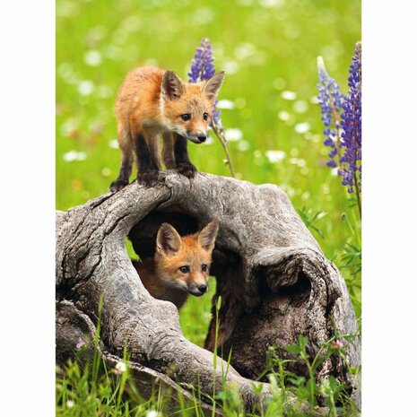 Puzzel Vosjes 300 XXL Stukjes