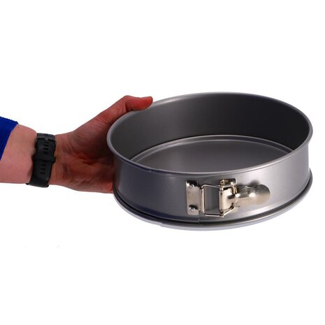 Springvorm 22 cm Zilver
