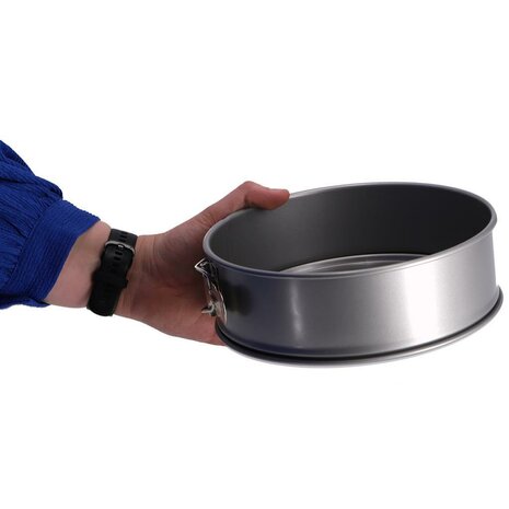 Springvorm 20 cm Zilver