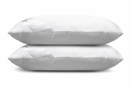 Lush Mulberry Silk Kussen (2-Pack)