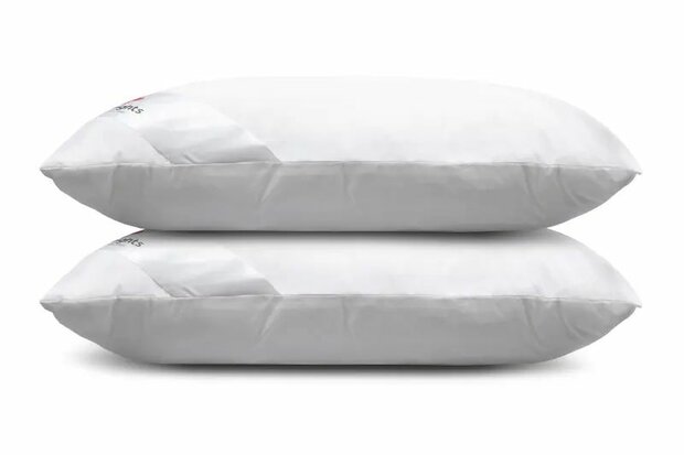 Lush Mulberry Silk Kussen (2-Pack)